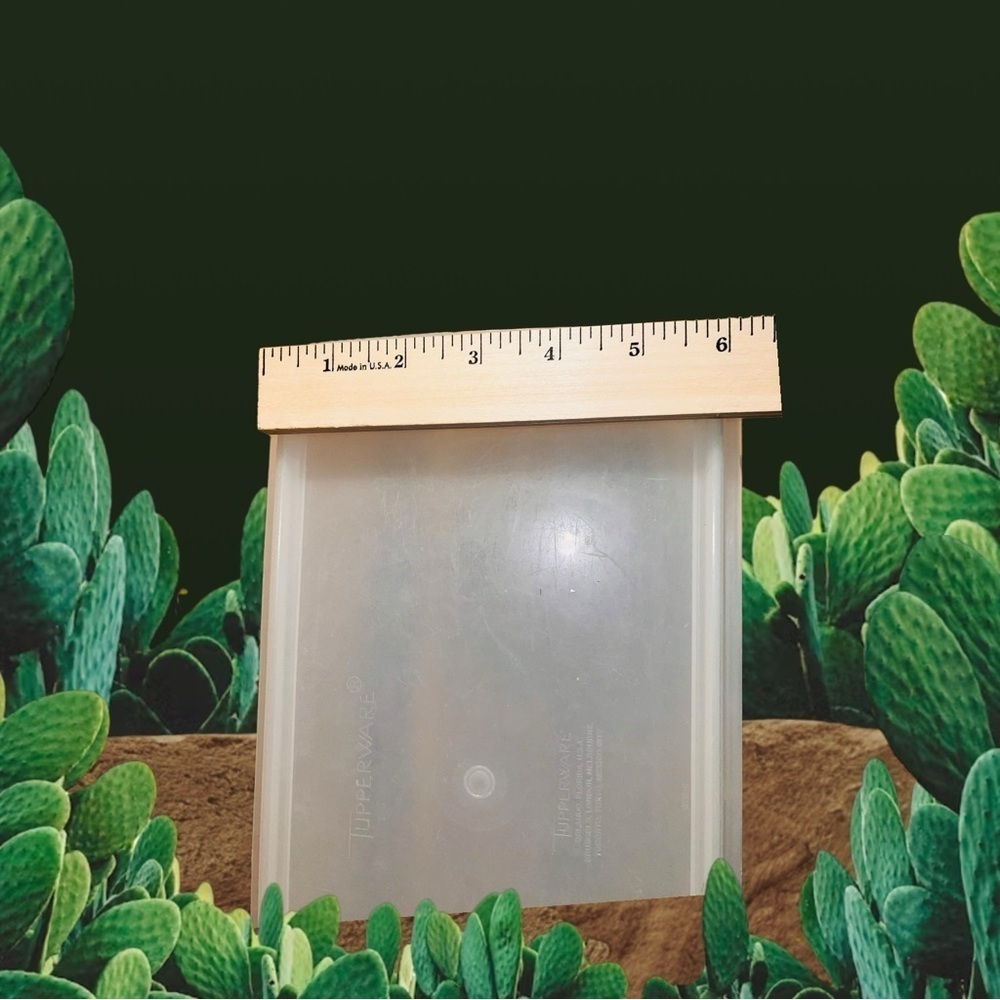 Vintage Tupperware Storage Container (Rectangular) Clear/White - Picture 3 of 7